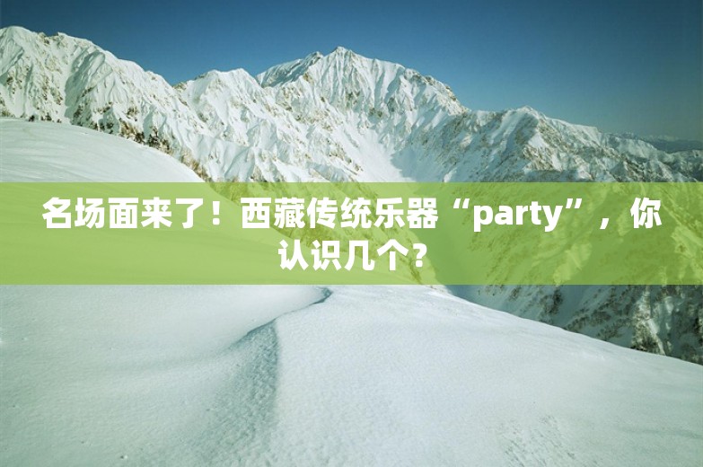 名场面来了！西藏传统乐器“party”，你认识几个？