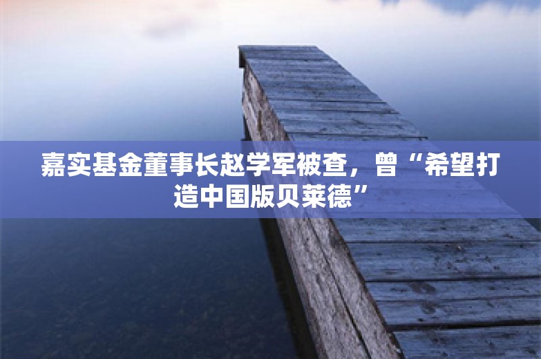 嘉实基金董事长赵学军被查，曾“希望打造中国版贝莱德”