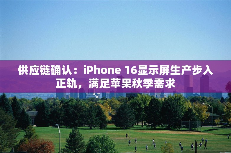 供应链确认：iPhone 16显示屏生产步入正轨，满足苹果秋季需求