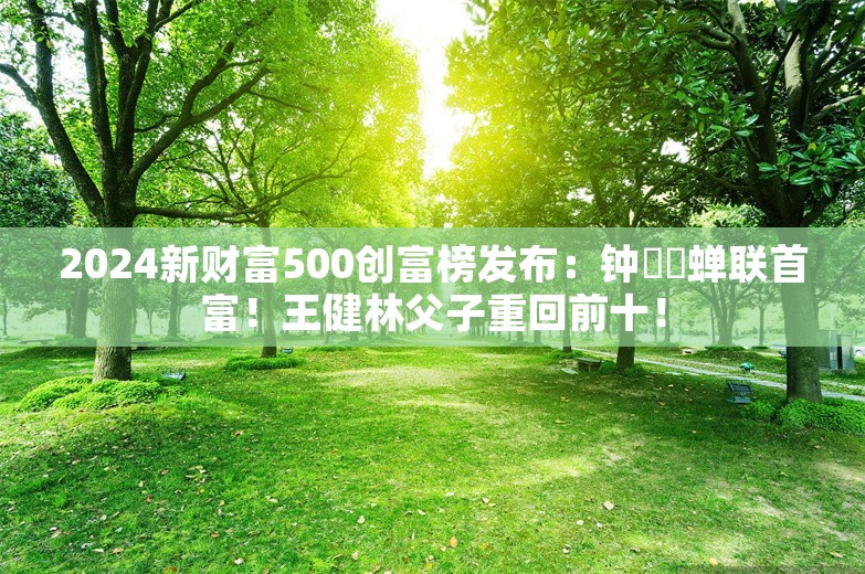 2024新财富500创富榜发布：钟睒睒蝉联首富！王健林父子重回前十！