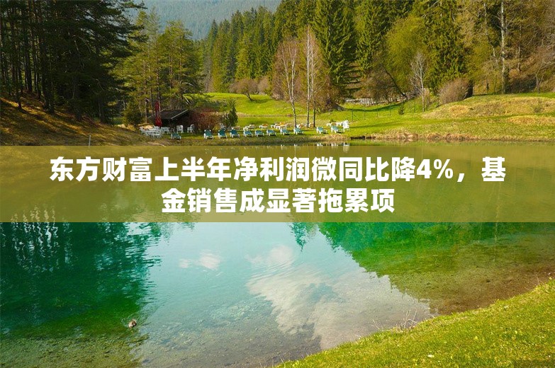 东方财富上半年净利润微同比降4%，基金销售成显著拖累项