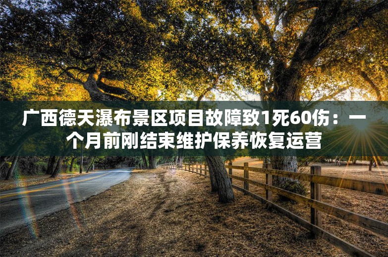 广西德天瀑布景区项目故障致1死60伤：一个月前刚结束维护保养恢复运营