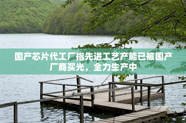 国产芯片代工厂指先进工艺产能已被国产厂商买光，全力生产中