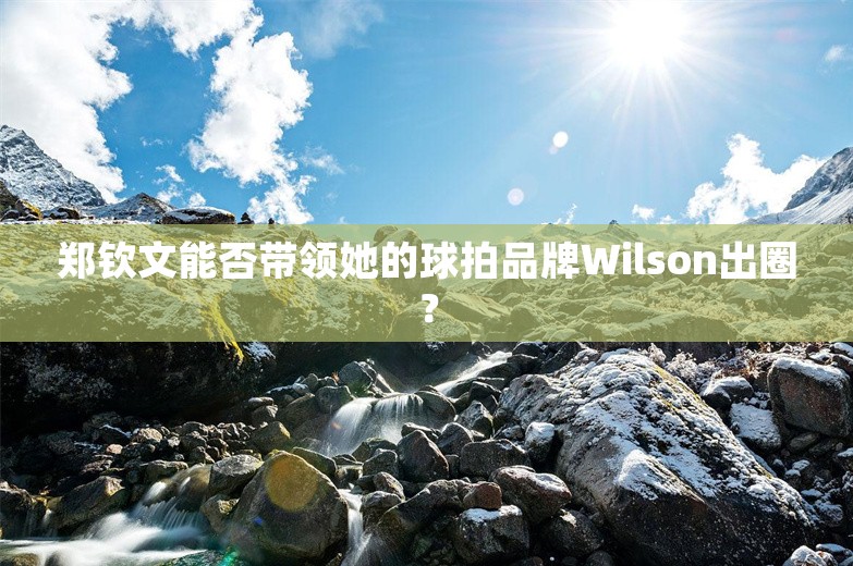 郑钦文能否带领她的球拍品牌Wilson出圈？