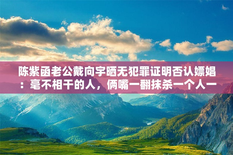 陈紫函老公戴向宇晒无犯罪证明否认嫖娼：毫不相干的人，俩嘴一翻抹杀一个人一生的努力