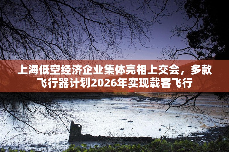 上海低空经济企业集体亮相上交会，多款飞行器计划2026年实现载客飞行