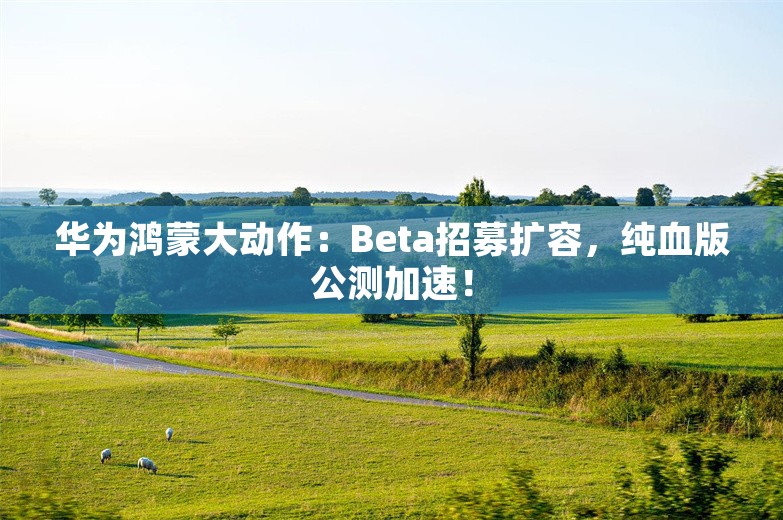 华为鸿蒙大动作：Beta招募扩容，纯血版公测加速！