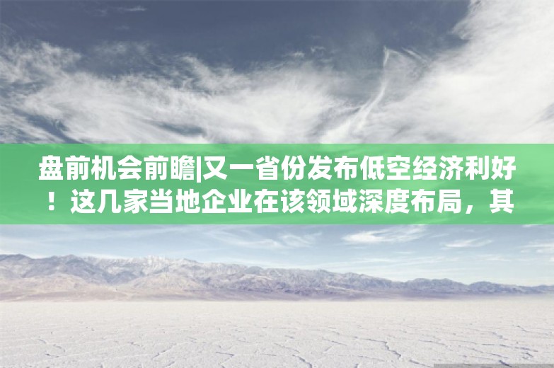 盘前机会前瞻|又一省份发布低空经济利好！这几家当地企业在该领域深度布局，其中一家是市场唯一的eVTOL飞控系统供应商（附概念股）