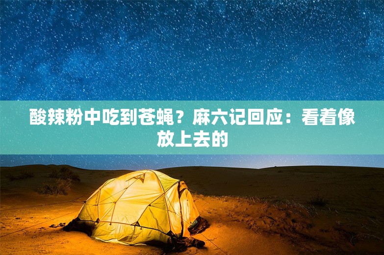 酸辣粉中吃到苍蝇？麻六记回应：看着像放上去的