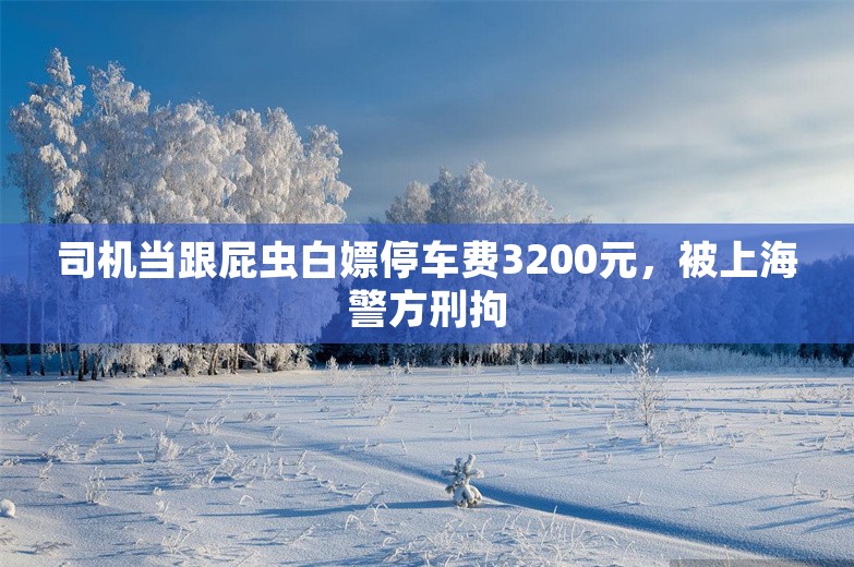 司机当跟屁虫白嫖停车费3200元，被上海警方刑拘