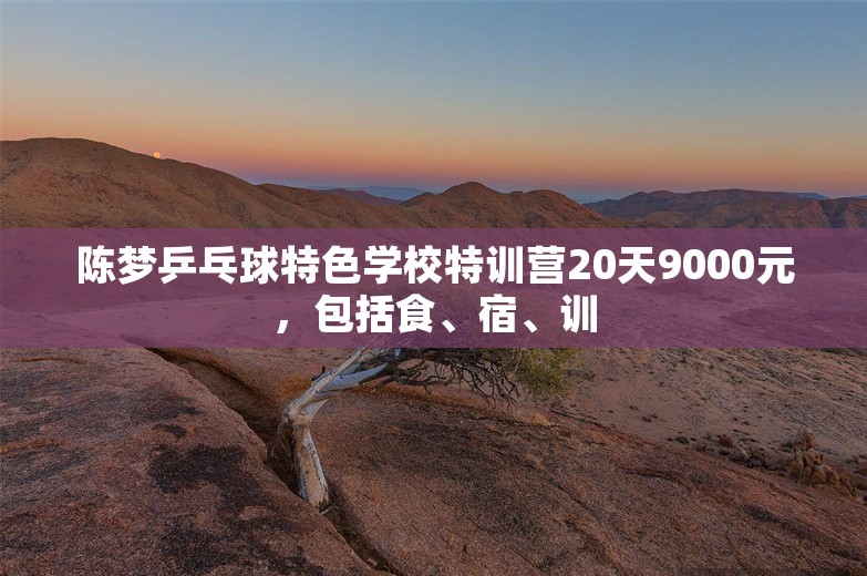 陈梦乒乓球特色学校特训营20天9000元，包括食、宿、训