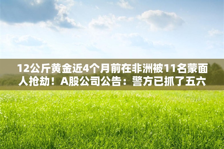 12公斤黄金近4个月前在非洲被11名蒙面人抢劫！A股公司公告：警方已抓了五六个人，黄金去向未明