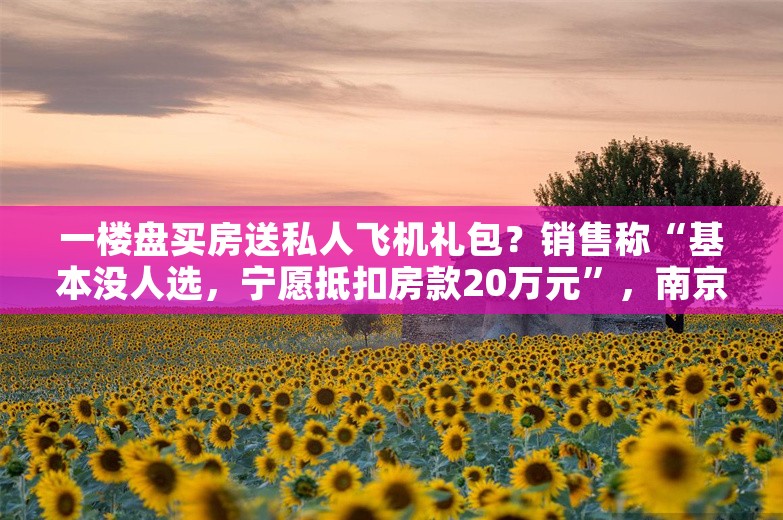 一楼盘买房送私人飞机礼包？销售称“基本没人选，宁愿抵扣房款20万元”，南京楼市到底怎么样？