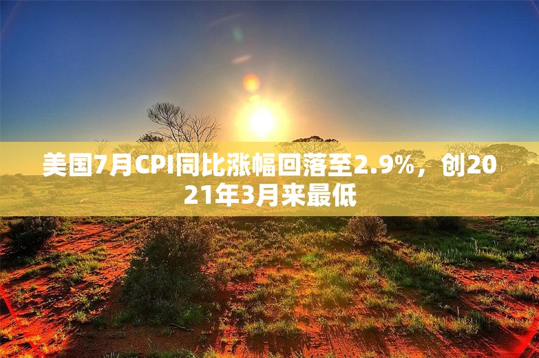 美国7月CPI同比涨幅回落至2.9%，创2021年3月来最低