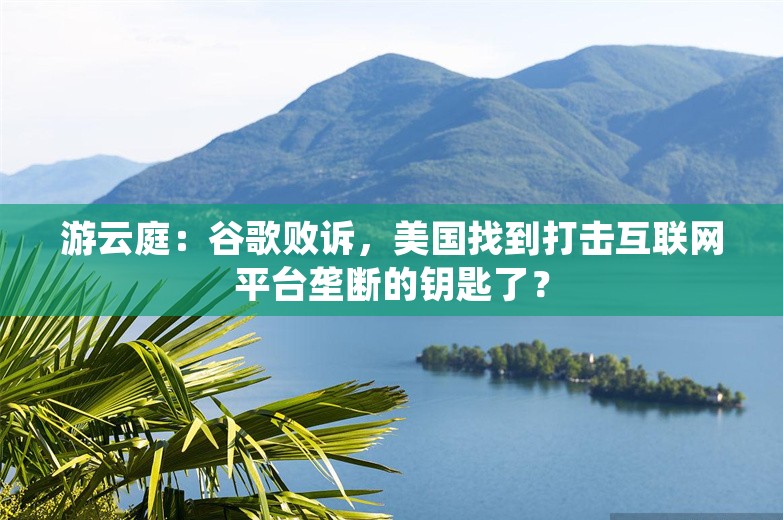 游云庭：谷歌败诉，美国找到打击互联网平台垄断的钥匙了？