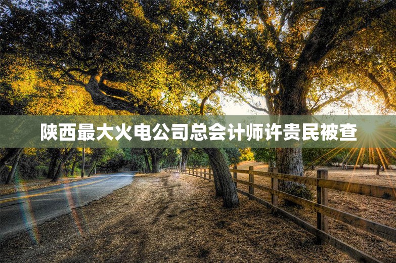 陕西最大火电公司总会计师许贵民被查