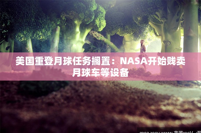 美国重登月球任务搁置：NASA开始贱卖月球车等设备