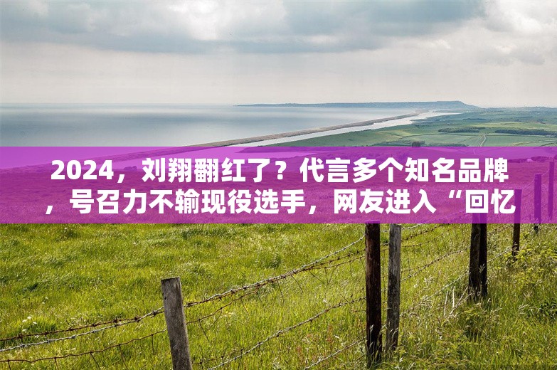 2024，刘翔翻红了？代言多个知名品牌，号召力不输现役选手，网友进入“回忆杀”