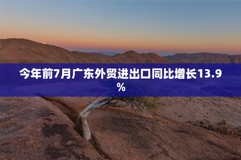 今年前7月广东外贸进出口同比增长13.9%