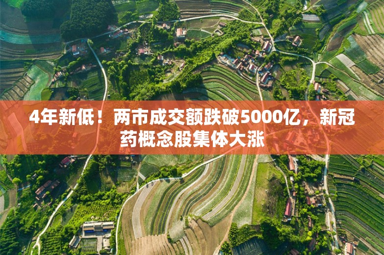 4年新低！两市成交额跌破5000亿，新冠药概念股集体大涨