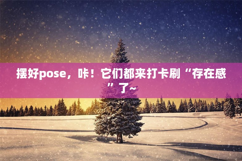 摆好pose，咔！它们都来打卡刷“存在感”了~