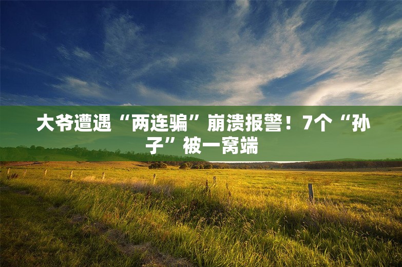  大爷遭遇“两连骗”崩溃报警！7个“孙子”被一窝端