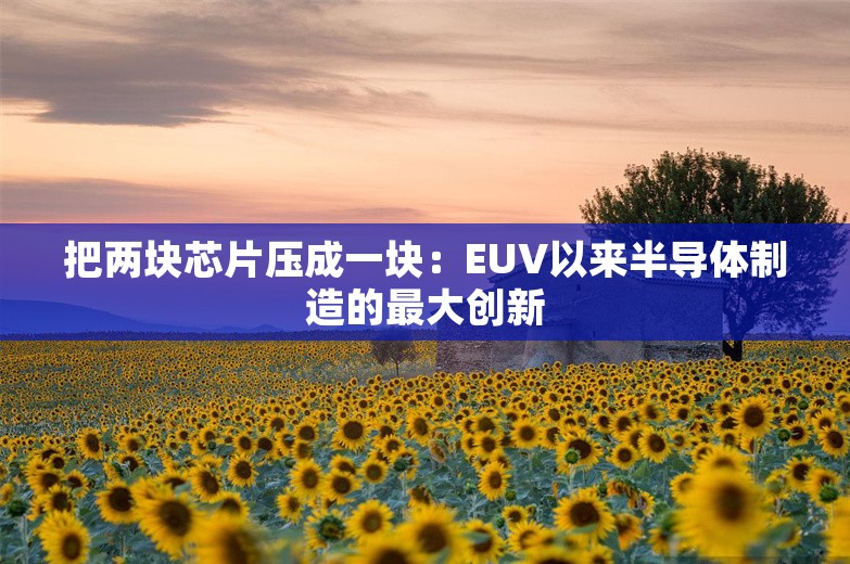 把两块芯片压成一块：EUV以来半导体制造的最大创新