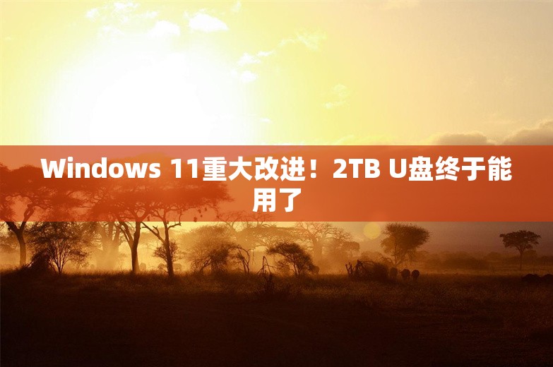 Windows 11重大改进！2TB U盘终于能用了