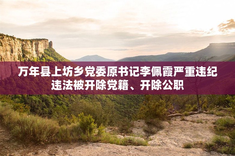 万年县上坊乡党委原书记李佩霞严重违纪违法被开除党籍、开除公职