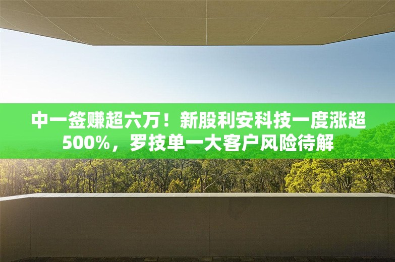 中一签赚超六万！新股利安科技一度涨超500%，罗技单一大客户风险待解