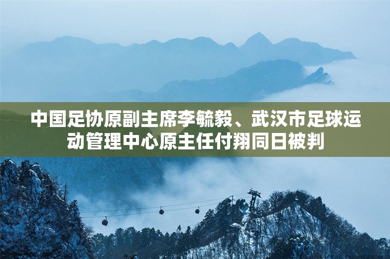 中国足协原副主席李毓毅、武汉市足球运动管理中心原主任付翔同日被判