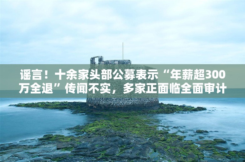 谣言！十余家头部公募表示“年薪超300万全退”传闻不实，多家正面临全面审计