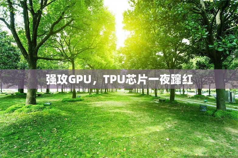 强攻GPU，TPU芯片一夜蹿红