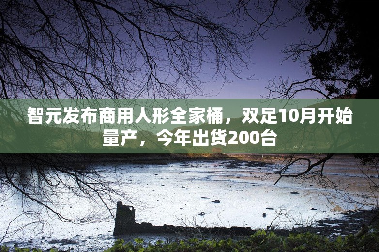 智元发布商用人形全家桶，双足10月开始量产，今年出货200台