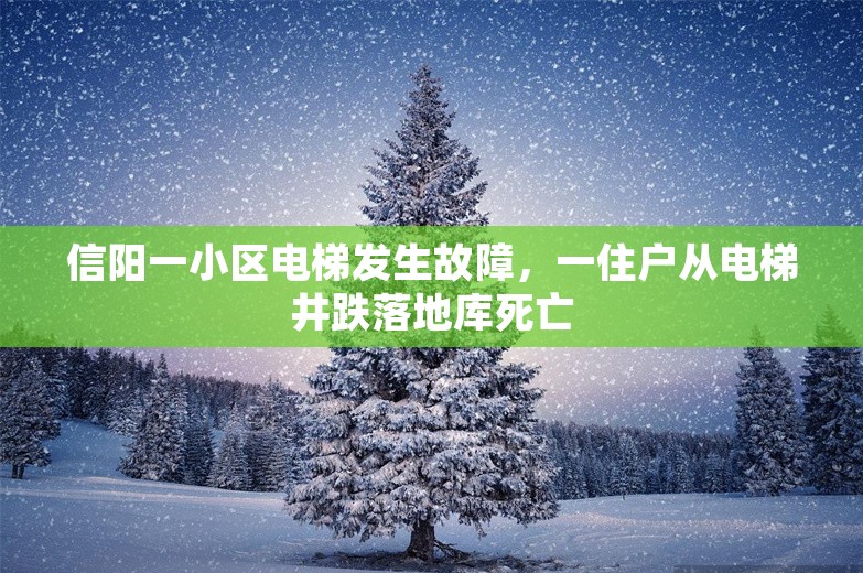 信阳一小区电梯发生故障，一住户从电梯井跌落地库死亡