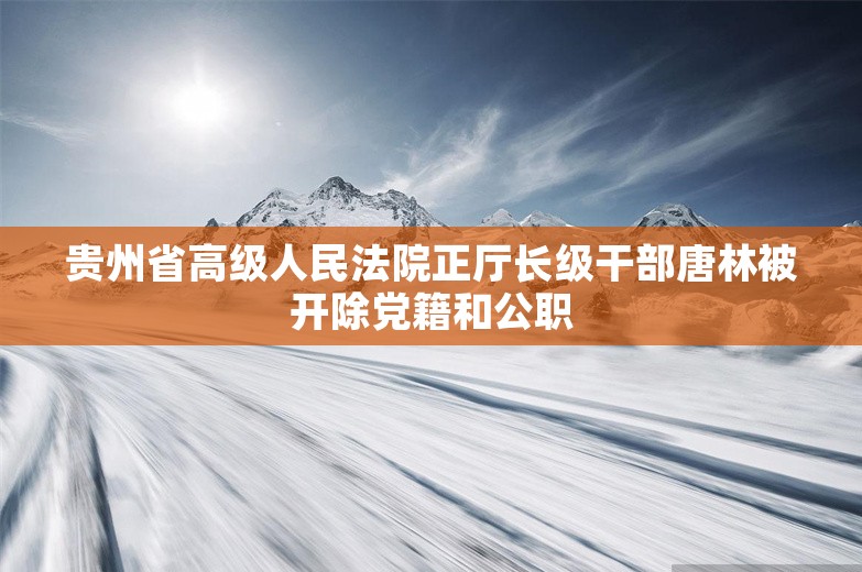 贵州省高级人民法院正厅长级干部唐林被开除党籍和公职