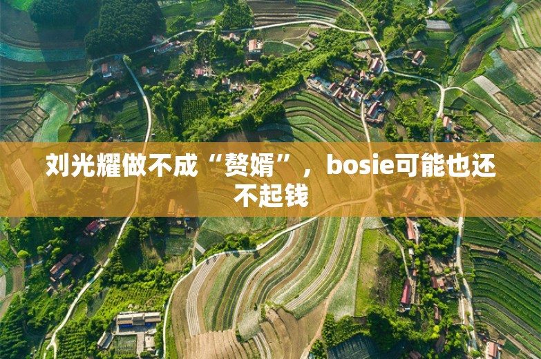 刘光耀做不成“赘婿”，bosie可能也还不起钱