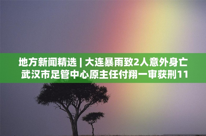 地方新闻精选 | 大连暴雨致2人意外身亡 武汉市足管中心原主任付翔一审获刑11年