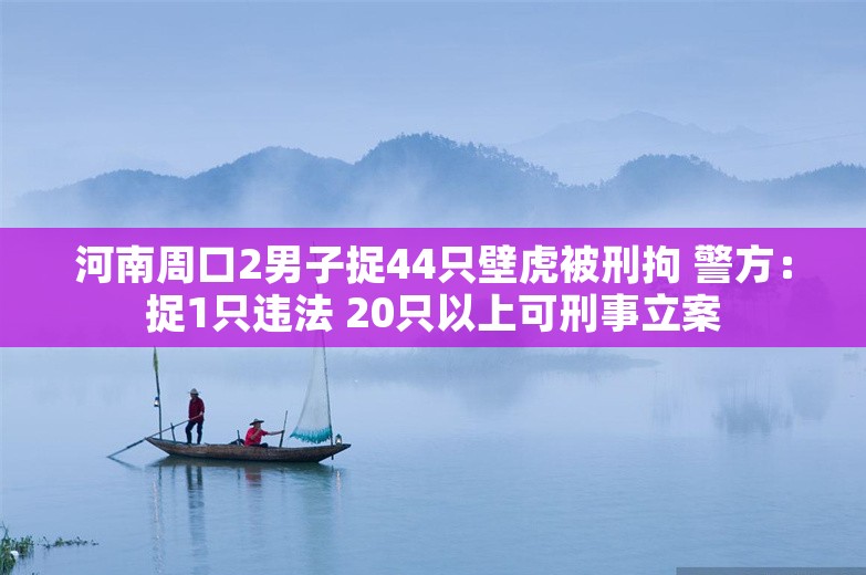 河南周口2男子捉44只壁虎被刑拘 警方：捉1只违法 20只以上可刑事立案