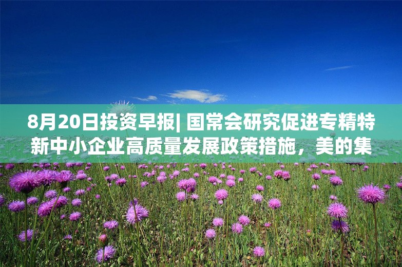 8月20日投资早报| 国常会研究促进专精特新中小企业高质量发展政策措施，美的集团上半年净利润208.04亿元同比增14.11%，国电电力上半年净利润同比增长127%