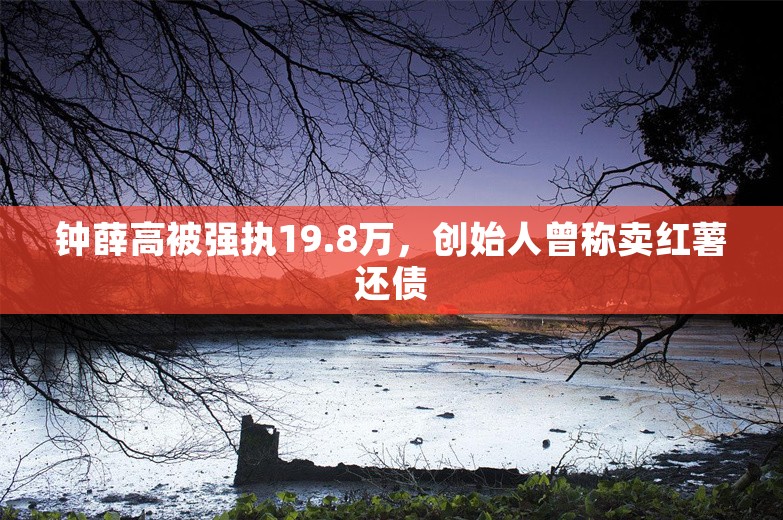 钟薛高被强执19.8万，创始人曾称卖红薯还债