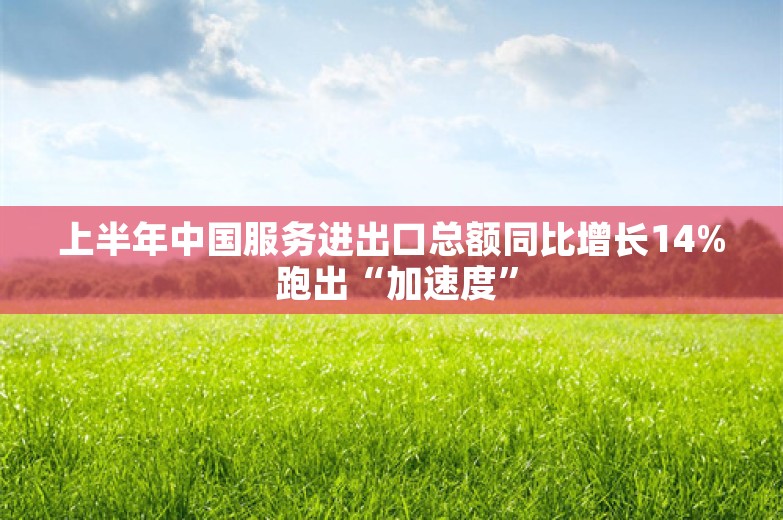 上半年中国服务进出口总额同比增长14% 跑出“加速度”