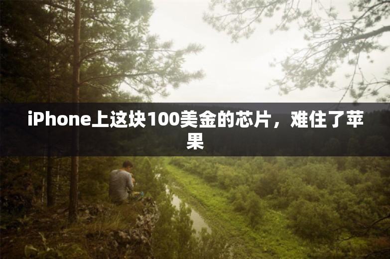 iPhone上这块100美金的芯片，难住了苹果