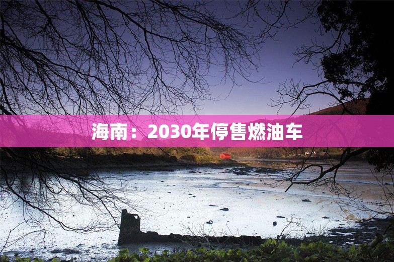 海南：2030年停售燃油车