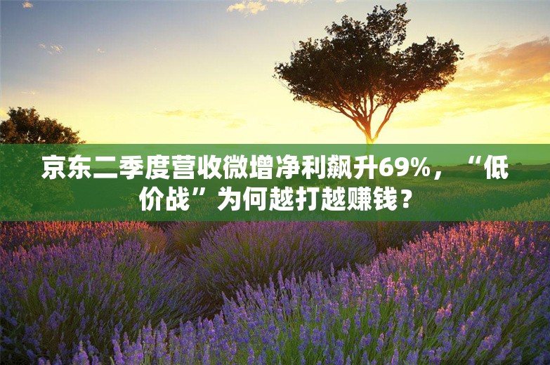 京东二季度营收微增净利飙升69%，“低价战”为何越打越赚钱？