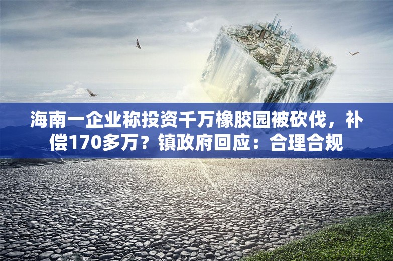 海南一企业称投资千万橡胶园被砍伐，补偿170多万？镇政府回应：合理合规