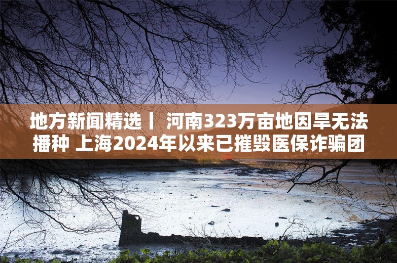 地方新闻精选丨 河南323万亩地因旱无法播种 上海2024年以来已摧毁医保诈骗团伙9个