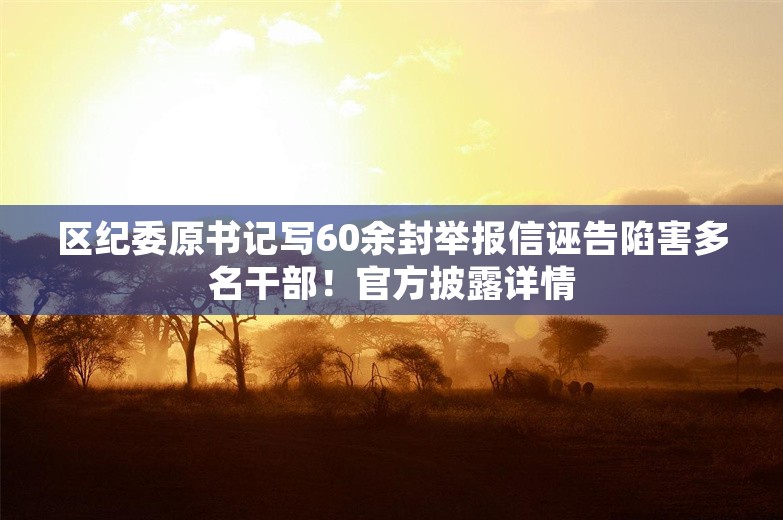 区纪委原书记写60余封举报信诬告陷害多名干部！官方披露详情