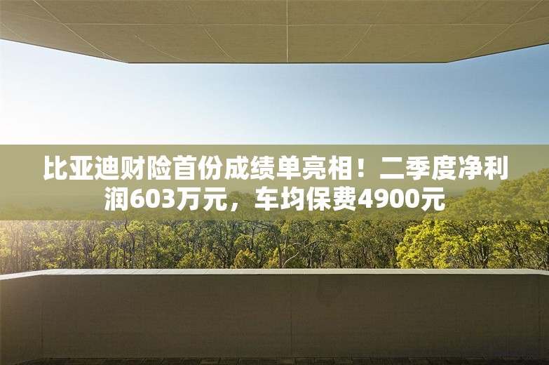 比亚迪财险首份成绩单亮相！二季度净利润603万元，车均保费4900元