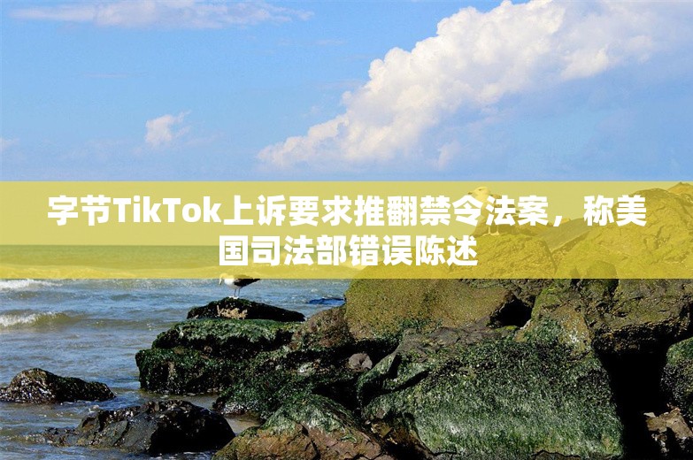 字节TikTok上诉要求推翻禁令法案，称美国司法部错误陈述